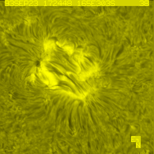 High Resolution Image of The Sun